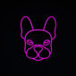 buldog_ledeon