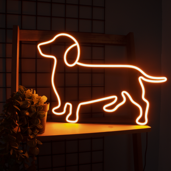 neon_jamnik_pies_ledeon.png neon_jamnik_pies_ledeon.png